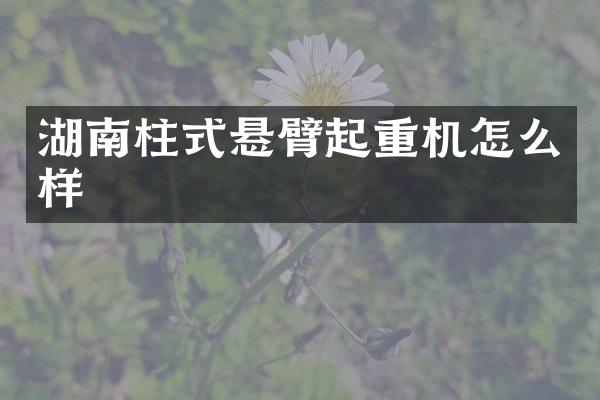 湖南柱式懸臂起重機(jī)怎么樣