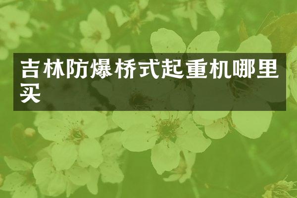 吉林防爆橋式起重機(jī)哪里買