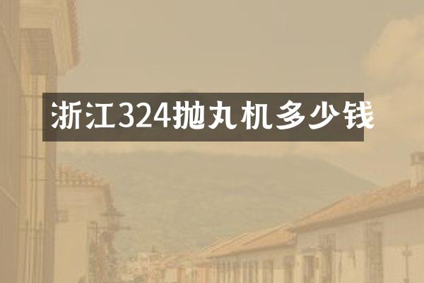 浙江324拋丸機(jī)多少錢