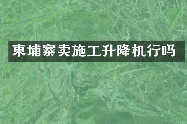 柬埔寨賣施工升降機(jī)行嗎