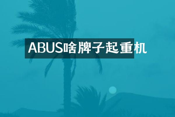 ABUS啥牌子起重機