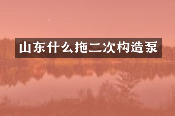 山東什么拖二次構(gòu)造泵