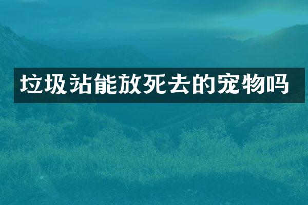 垃圾站能放死去的寵物嗎