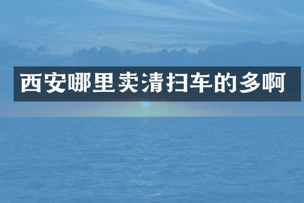 西安哪里賣清掃車的多啊