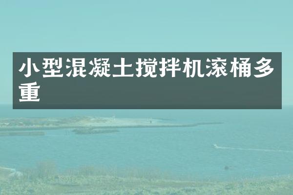 小型混凝土攪拌機滾桶多重