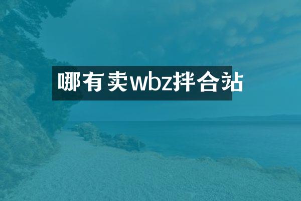 哪有賣wbz拌合站