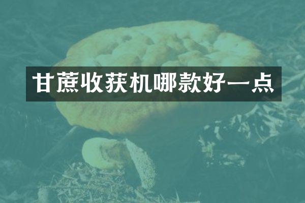 甘蔗收獲機(jī)哪款好一點(diǎn)