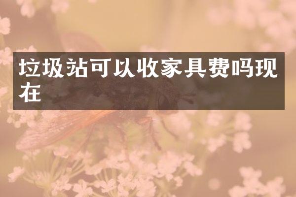 垃圾站可以收家具費(fèi)嗎現(xiàn)在