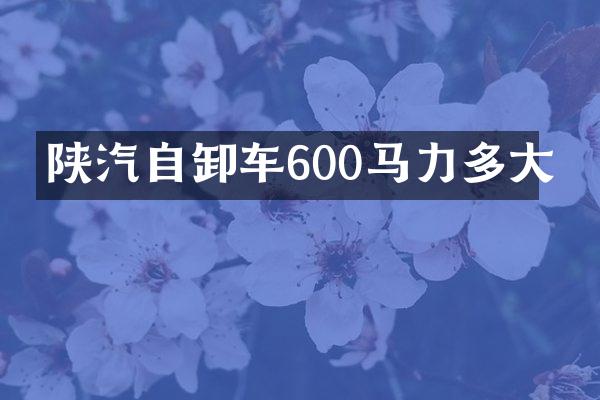 陜汽自卸車600馬力多大