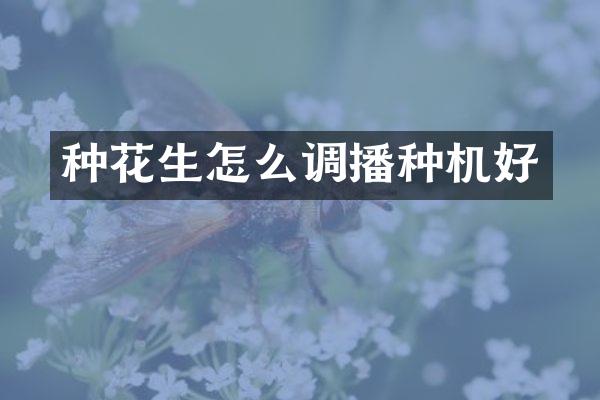 種花生怎么調(diào)播種機(jī)好