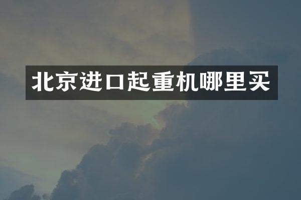 北京進(jìn)口起重機哪里買