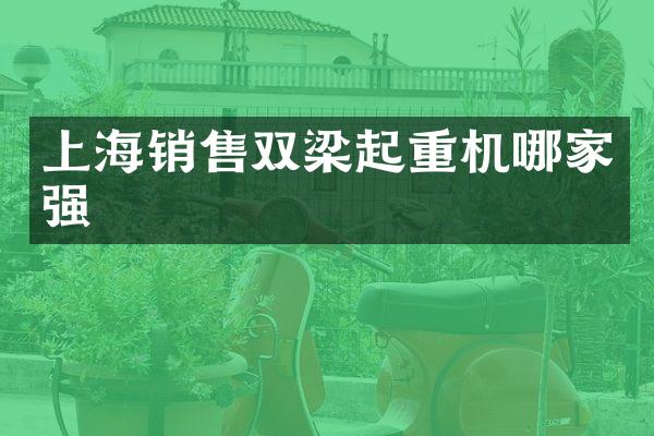 上海銷售雙梁起重機哪家強