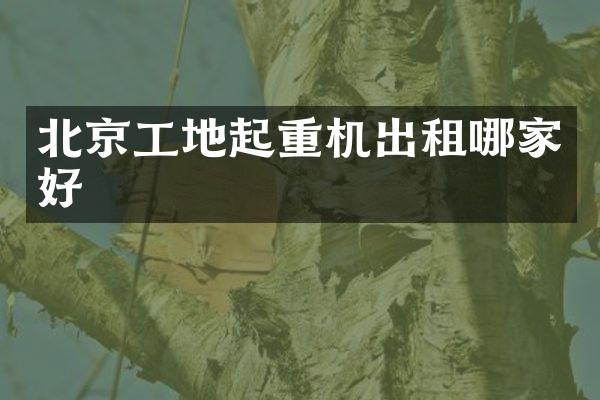 北京工地起重機出租哪家好