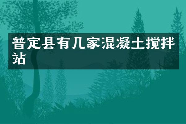 普定縣有幾家混凝土攪拌站