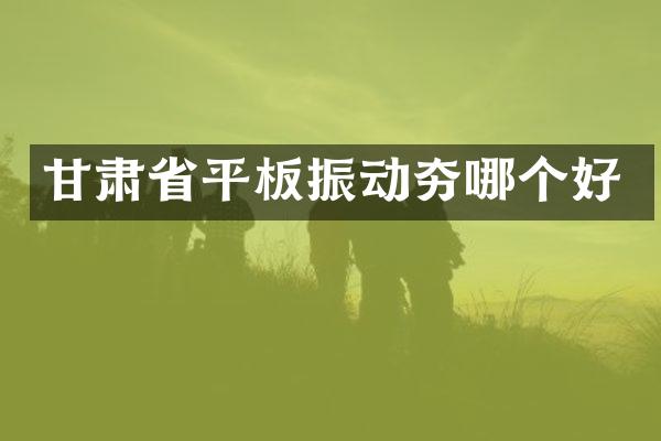 甘肅省平板振動夯哪個(gè)好