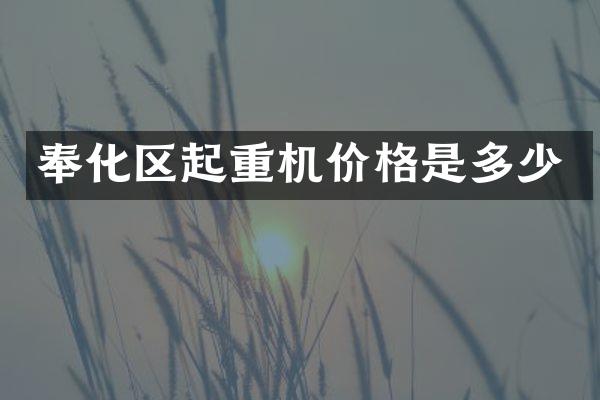 奉化區(qū)起重機(jī)價(jià)格是多少