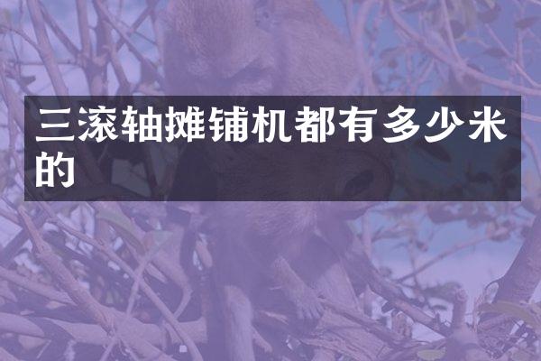 三滾軸攤鋪機都有多少米的