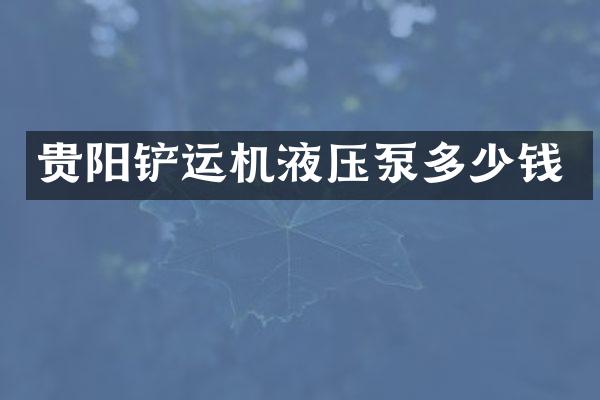 贵阳铲运机液压泵多少钱
