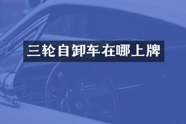 三輪自卸車在哪上牌