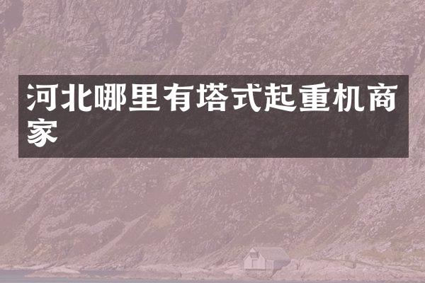 河北哪里有塔式起重機(jī)商家