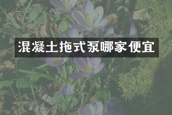 混凝土拖式泵哪家便宜