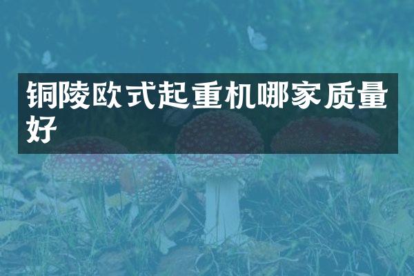 銅陵歐式起重機(jī)哪家質(zhì)量好