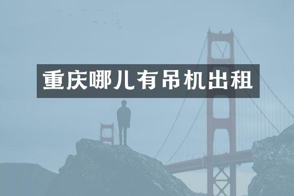 重慶哪兒有吊機(jī)出租