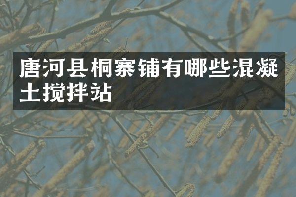 唐河縣桐寨鋪有哪些混凝土攪拌站