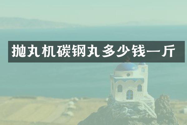 拋丸機(jī)碳鋼丸多少錢一斤