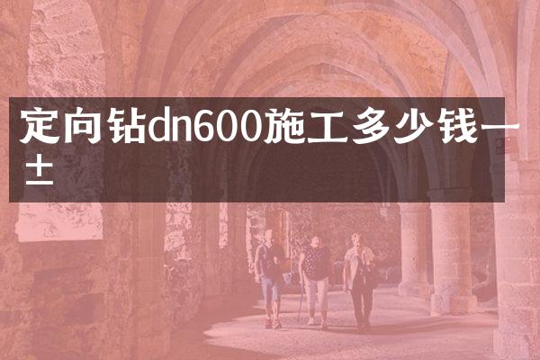 定向鉆dn600施工多少錢一米