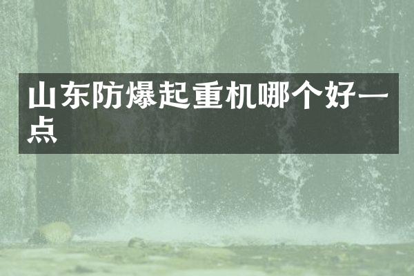 山東防爆起重機(jī)哪個(gè)好一點(diǎn)