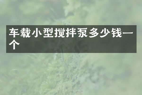 車載小型攪拌泵多少錢一個(gè)