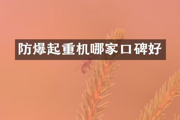 防爆起重機(jī)哪家口碑好