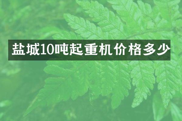 鹽城10噸起重機(jī)價(jià)格多少