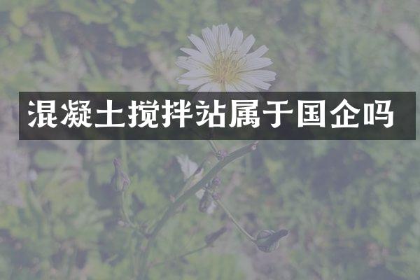 混凝土攪拌站屬于國(guó)企嗎