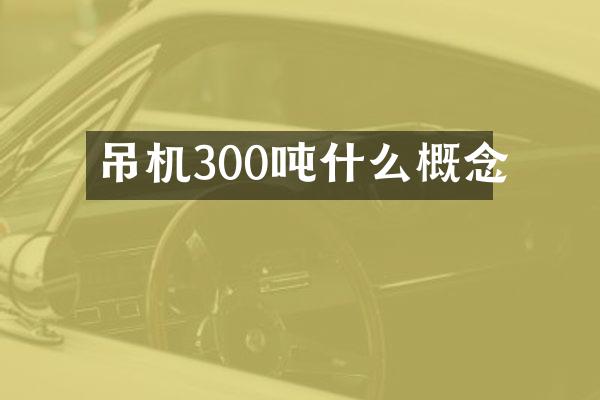 吊機(jī)300噸什么概念