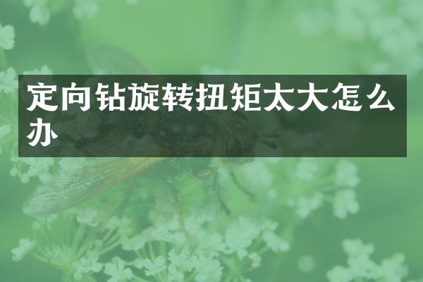 定向鉆旋轉(zhuǎn)扭矩太大怎么辦