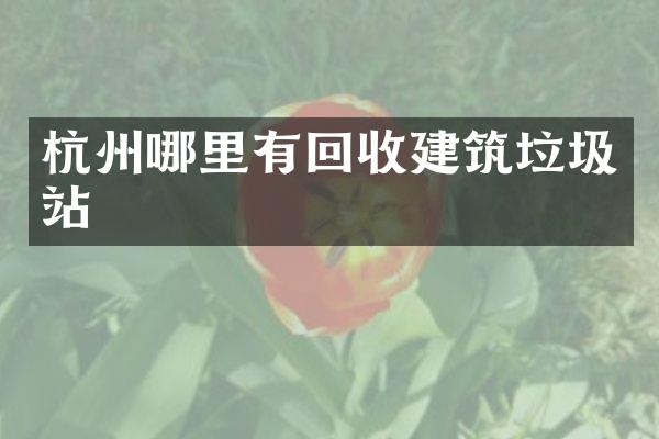 杭州哪里有回收建筑垃圾站