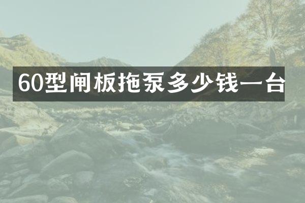 60型閘板拖泵多少錢一臺(tái)