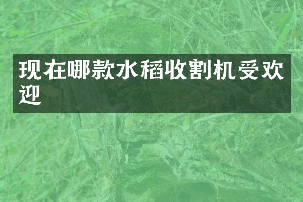 現(xiàn)在哪款水稻收割機受歡迎