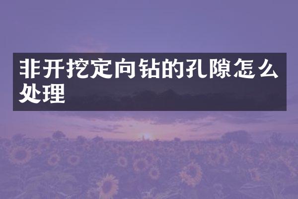 非開(kāi)挖定向鉆的孔隙怎么處理