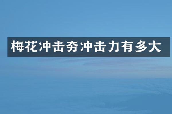 梅花沖擊夯沖擊力有多大