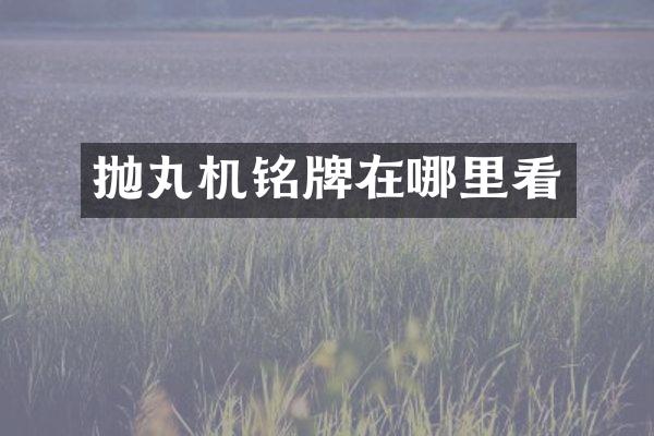 拋丸機(jī)銘牌在哪里看