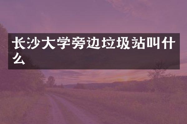 長(zhǎng)沙大學(xué)旁邊垃圾站叫什么