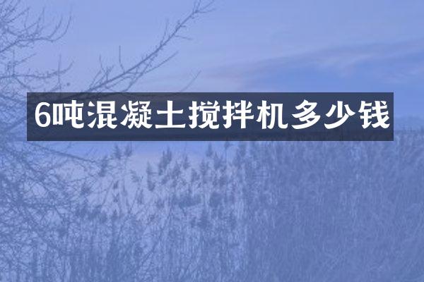 6噸混凝土攪拌機(jī)多少錢