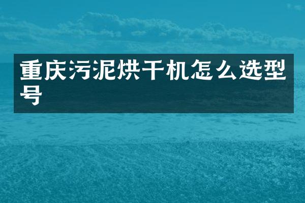 重慶污泥烘干機怎么選型號