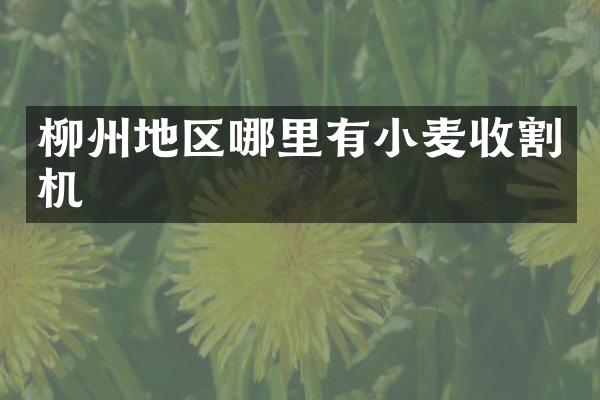 柳州地區(qū)哪里有小麥?zhǔn)崭顧C(jī)