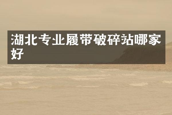 湖北專業(yè)履帶破碎站哪家好