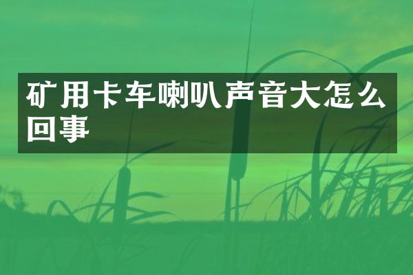 礦用卡車喇叭聲音大怎么回事