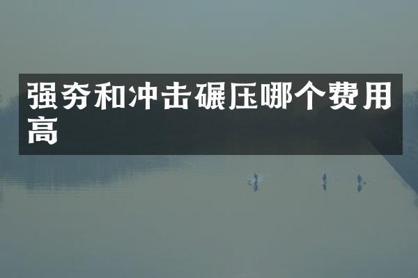 強夯和沖擊碾壓哪個費用高